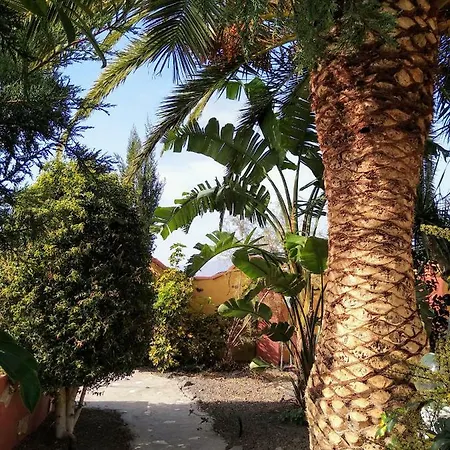 Jorsam Con Piscina * Tazacorte